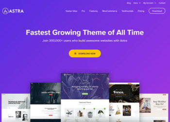 Astra woocommerce theme