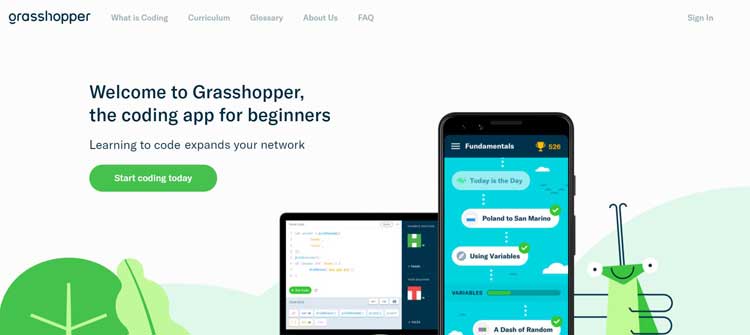 grasshopper