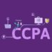 How to quickly make your Google Analytics CCPA Compliant? How to quickly make your Google Analytics CCPA Compliant